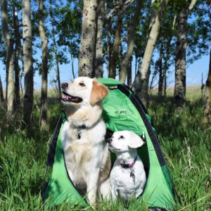 Koirien teltta - Retkelle.com