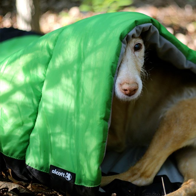 Uiterlijk terugbetaling Te Koiran makuupussi – Alcott Explorer Sleeping Bag - Retkelle.com