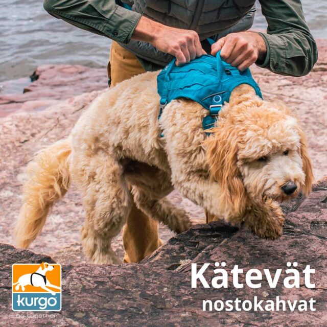 Koiran valjaat kahdella nostokahvalla Kurgo - Retkelle.com
